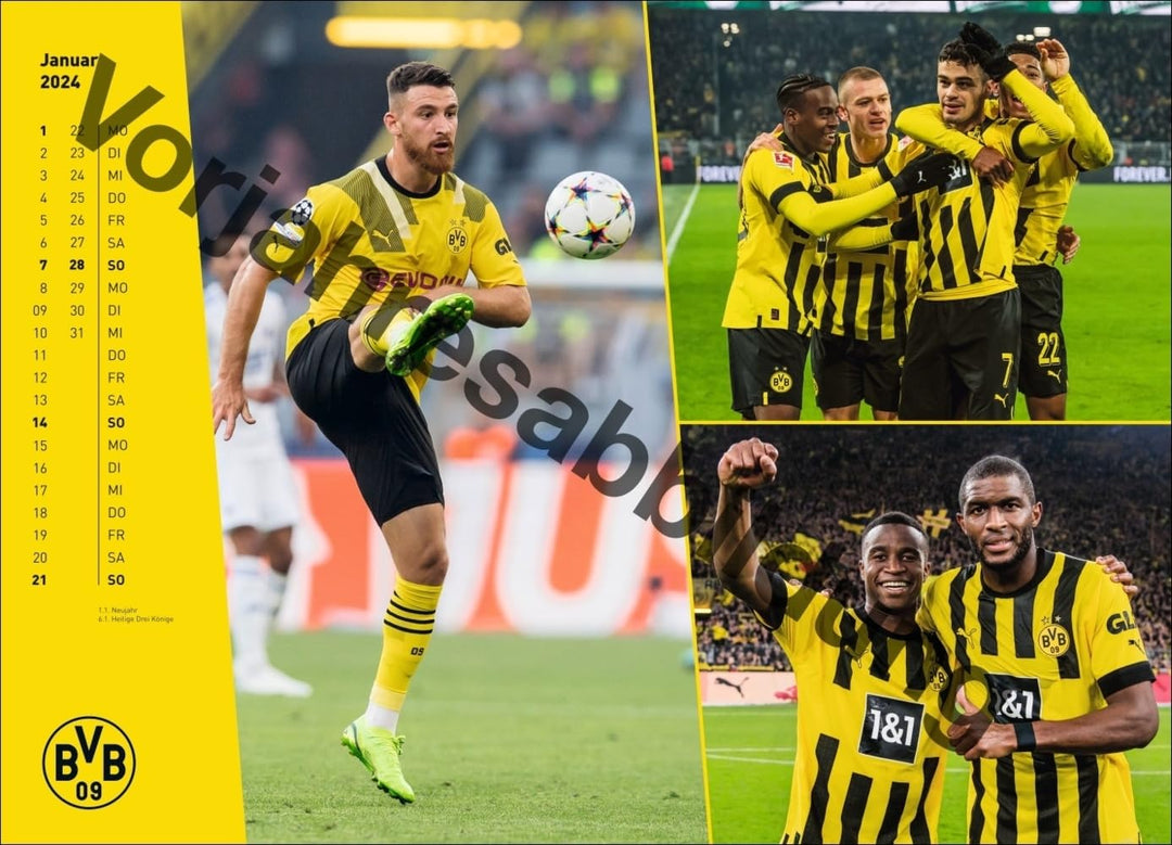 BVB Edition Kalender 2025: Grosser Wandkalender. Einzigartiger Fotokalender mit allen Stars von Boru