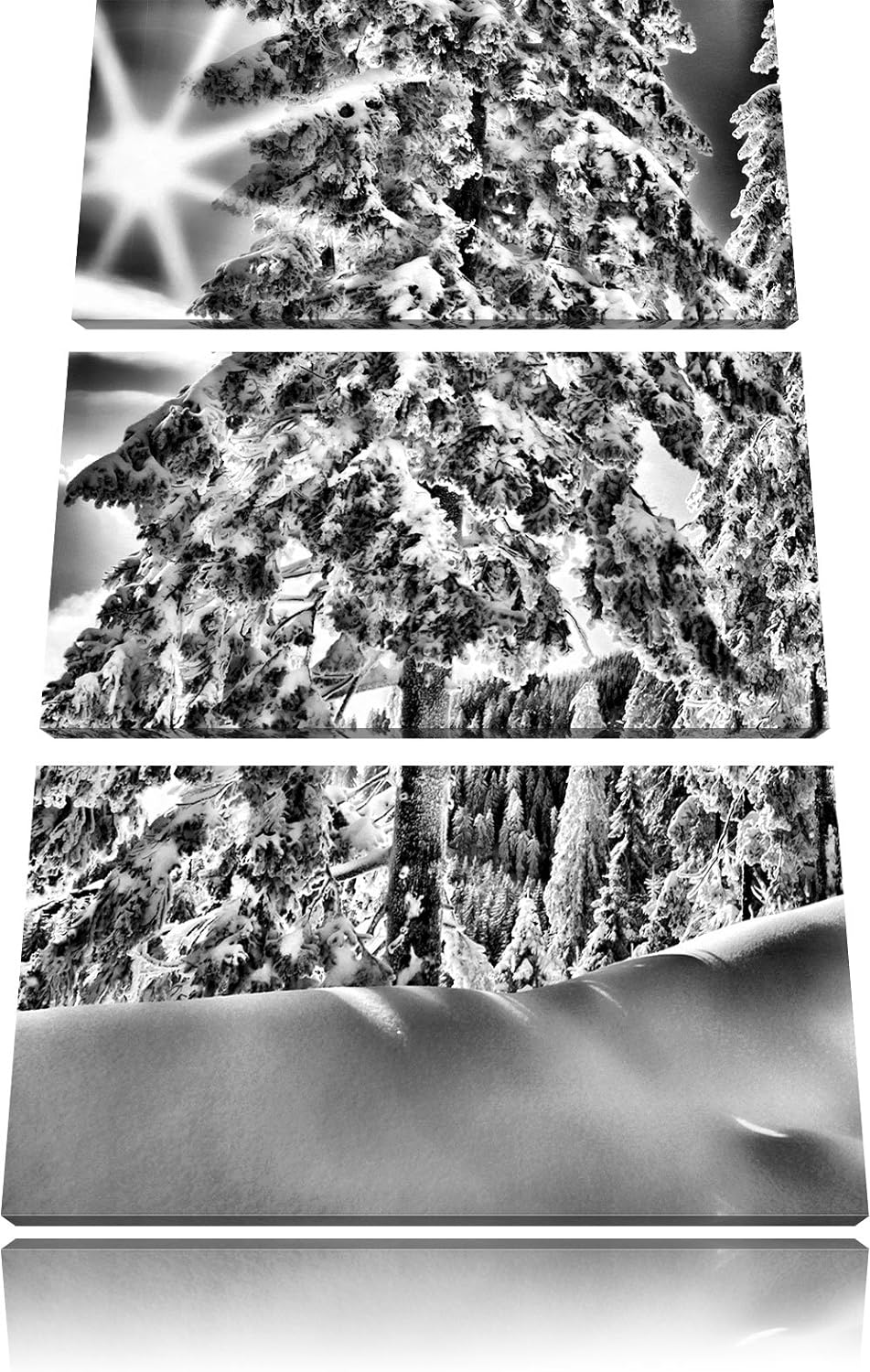 Pixxprint Monocrome, Winterlandschaft Bäume 3-Teiler Leinwandbild 120x80 Bild auf Leinwand