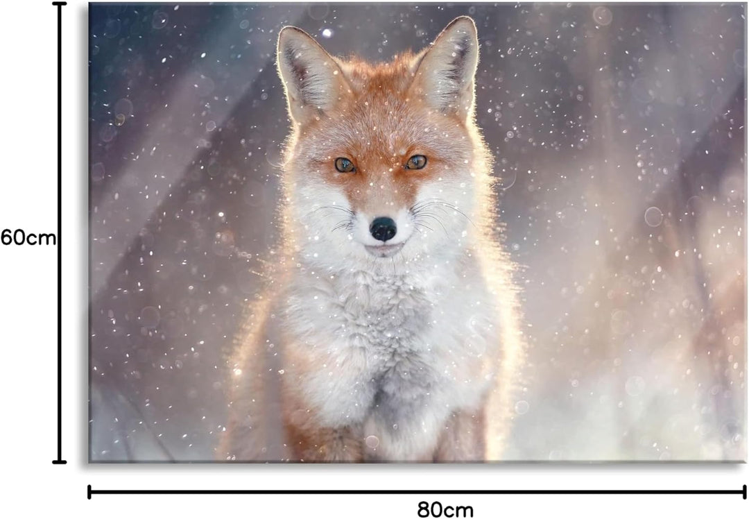 Pixxprint Glasbild | Wandbild aus Echtglas | Roter Fuchs im Winter | 80x60 cm | inkl. Aufhängung und
