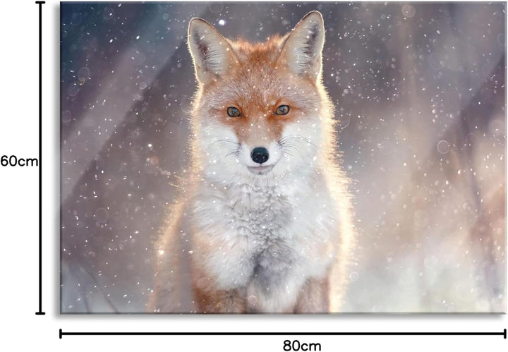 Pixxprint Glasbild | Wandbild aus Echtglas | Roter Fuchs im Winter | 80x60 cm | inkl. Aufhängung und