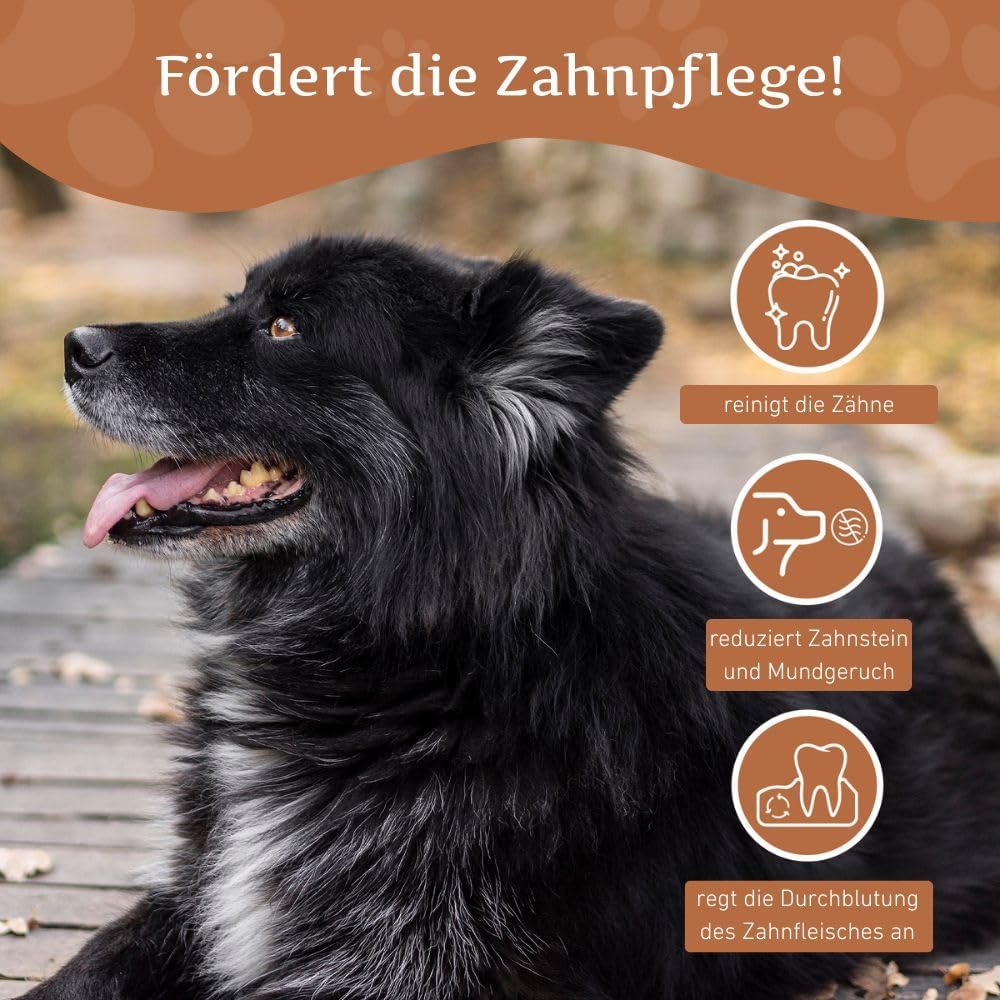 Wildfang Hundekaustab aus Arabica-Kaffeeholz Gr. L 1 stück (1er Pack), 1 stück (1er Pack)