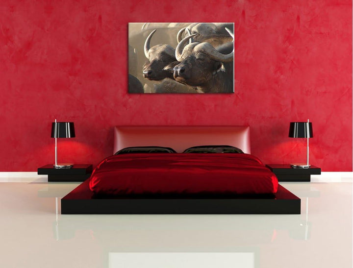 Zwei gemütliche Wasserbüffel Format: 100x70 auf Leinwand, XXL riesige Bilder fertig gerahmt mit Keil