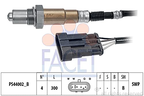 FACET 10.8203 Einspritzanlage