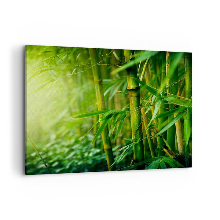 Bilder auf Leinwand 100x70cm Leinwandbild mit Rahmen Bambus Pflanze Gross Wanddeko Bild Schlafzimmer