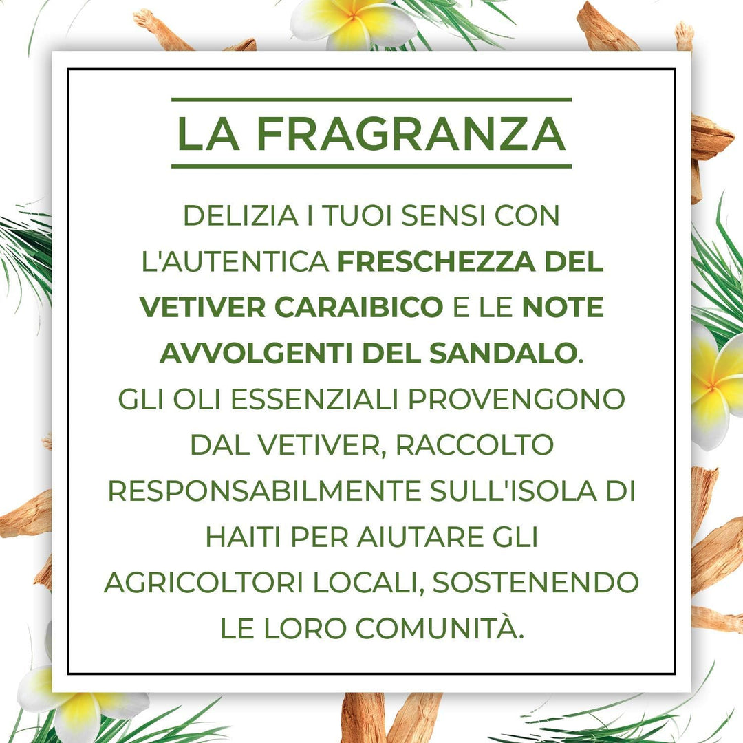 Airwick Botanica Kerze mit Wachs aus natürlichem Ursprung, 6 Duftkerzen à 250 g mit Duft von Sandale