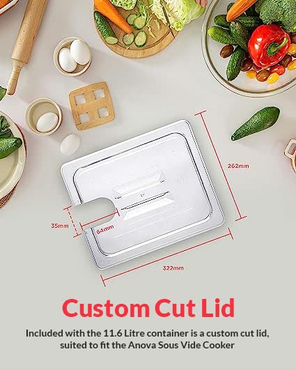 SousVideTools Behälter aus Polycarbonat, 11,6 l, mit Deckel passend für den Sous-Vide-Stick von Anov