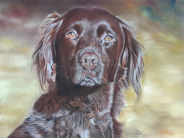 Clairefontaine 696009C - Packung mit 5 Zeichenbögen Pastelmat, ideal für Trockentechniken und Pastel