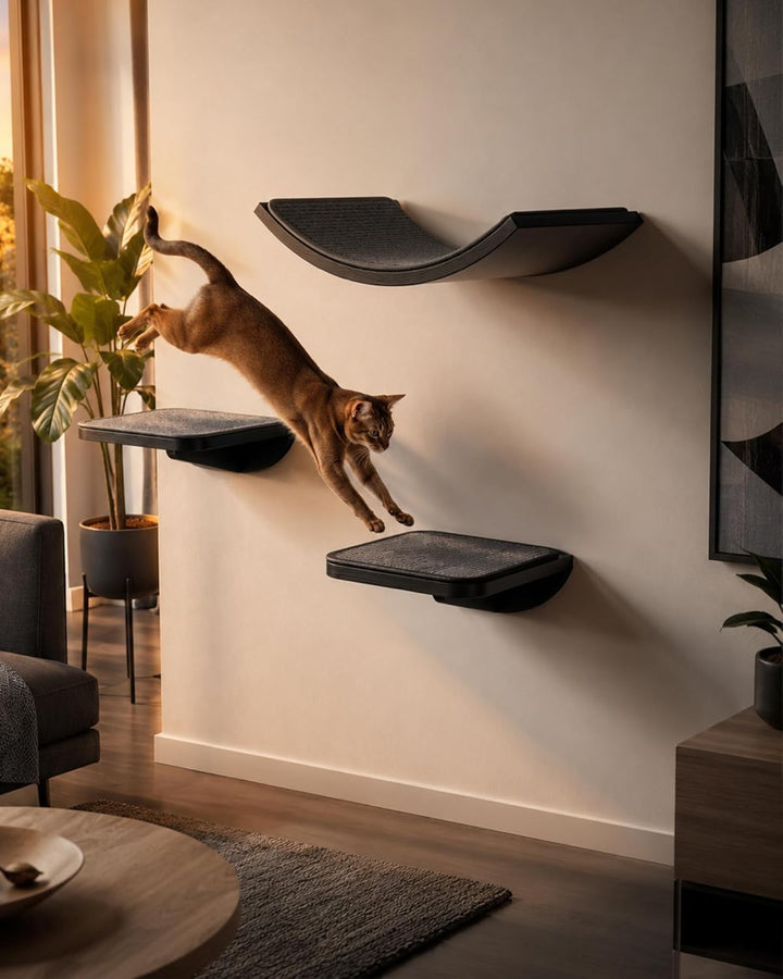 Katzentreppe Wand 3er-Set, Katzen Kletterwand mit 2 Kletterstufen & Gebogenen Plattformen, Wandmonti