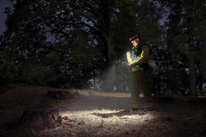 Mag-Lite Mini Pro LED Taschenlampe, 226 Lumen, ANSI Standard getest, titan-grau SP2P09H Grau Flashli