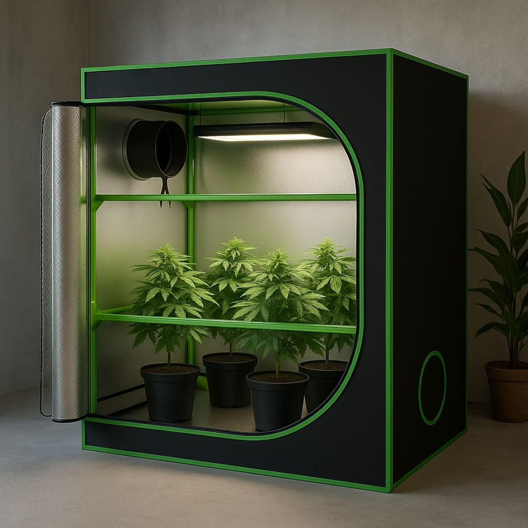 Weedness Dark Box Grow-Box für Indoor-Zucht 120x60x120 cm Propagator - Zuchtzelt Growschrank Growzel