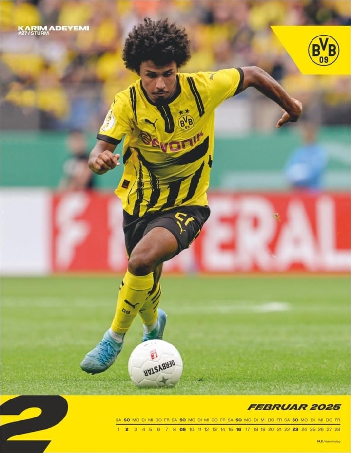 BVB Posterkalender 2025: Jahres-Wandkalender 2025 für Fussballfans. Fotokalender mit den Stars von B