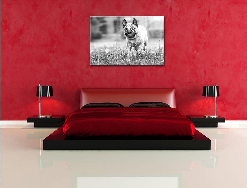 Rennender Mops Kunst B&W, Format: 100x70 auf Leinwand, XXL riesige Bilder fertig gerahmt mit Keilrah