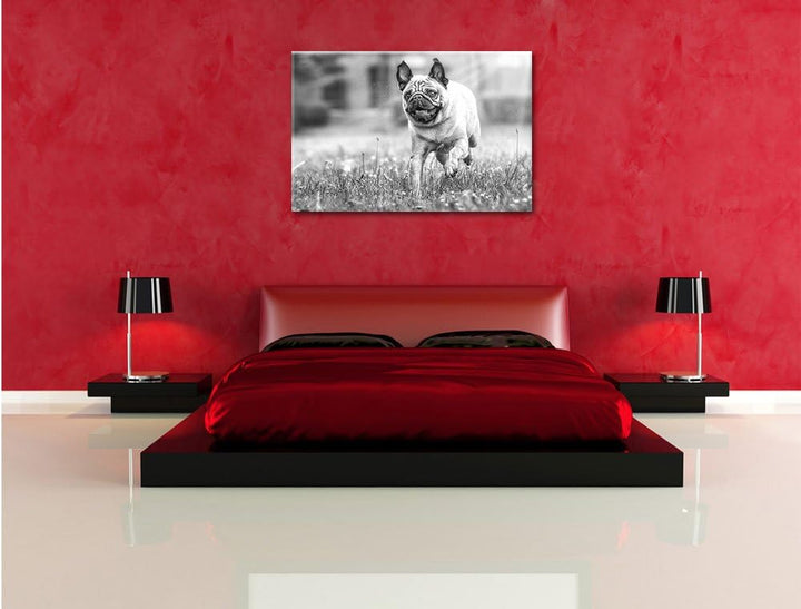 Rennender Mops Kunst B&W, Format: 100x70 auf Leinwand, XXL riesige Bilder fertig gerahmt mit Keilrah