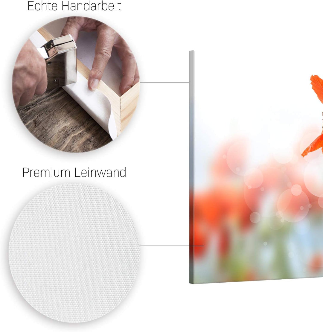 ge Bildet Bild auf Leinwand | Mohn - Blumen Rot Natur D in 120x80 cm als Wandbild XXL | Wand-deko De