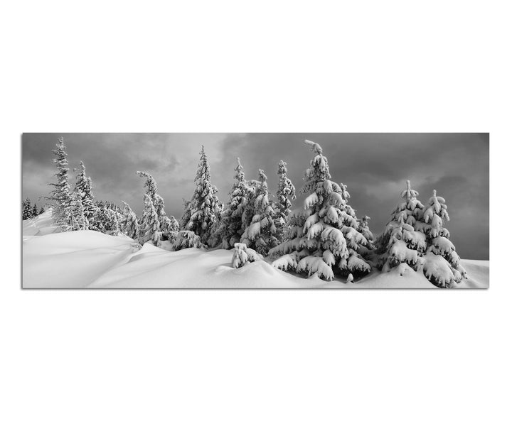 Paul Sinus Art Leinwandfoto als Panorama SCHWARZ/Weiss 120x40cm Winterlandschaft Bäume Schnee Wolken