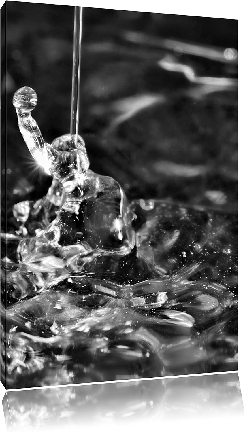 Pixxprint Monocrome, rote Flüssigkeit, Format: 100x70 auf Leinwand, 100x70