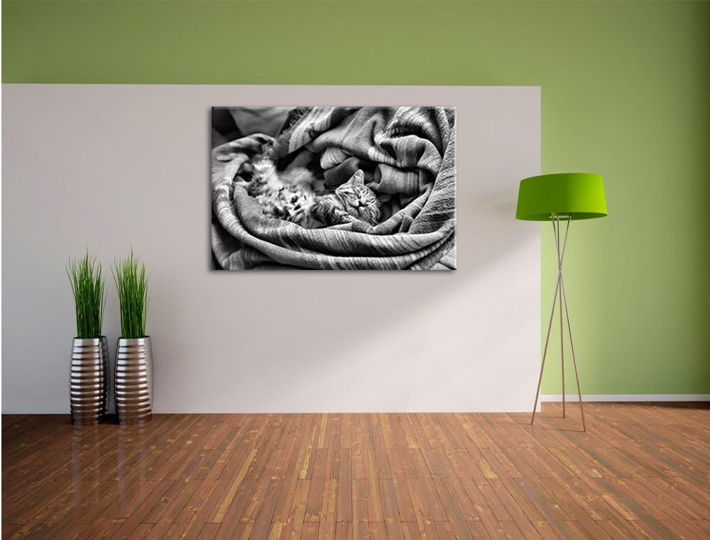 Monocrome, Babykatze, Format: 100x70 auf Leinwand, XXL riesige Bilder fertig gerahmt mit Keilrahmen,