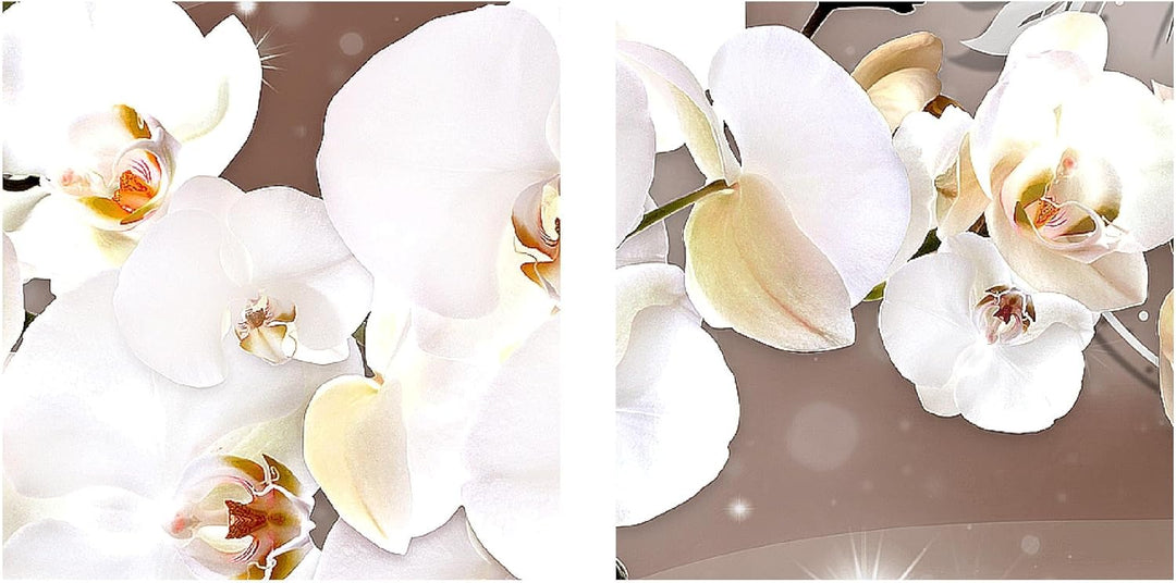 Runa Art Bild Modern Blumen Orchidee - Made in Germany - Wandbilder Abstrakt Beige Braun 4 Teilig 00