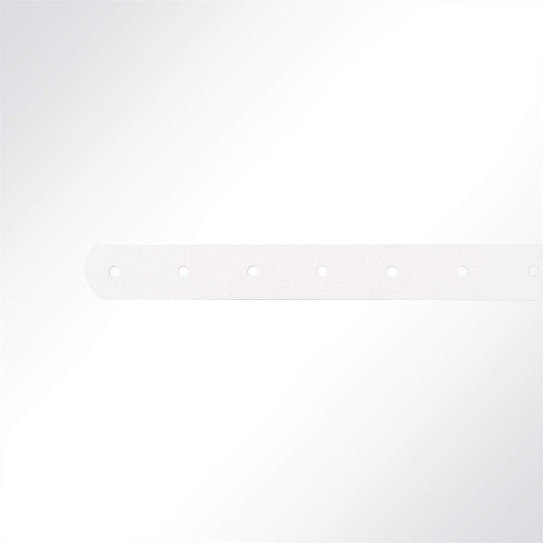 Strippe für Schnallriemen an Planen Anhänger, Länge 600mm, Weiss 20 x 600 mm (B x L) weiss 100, 20 x