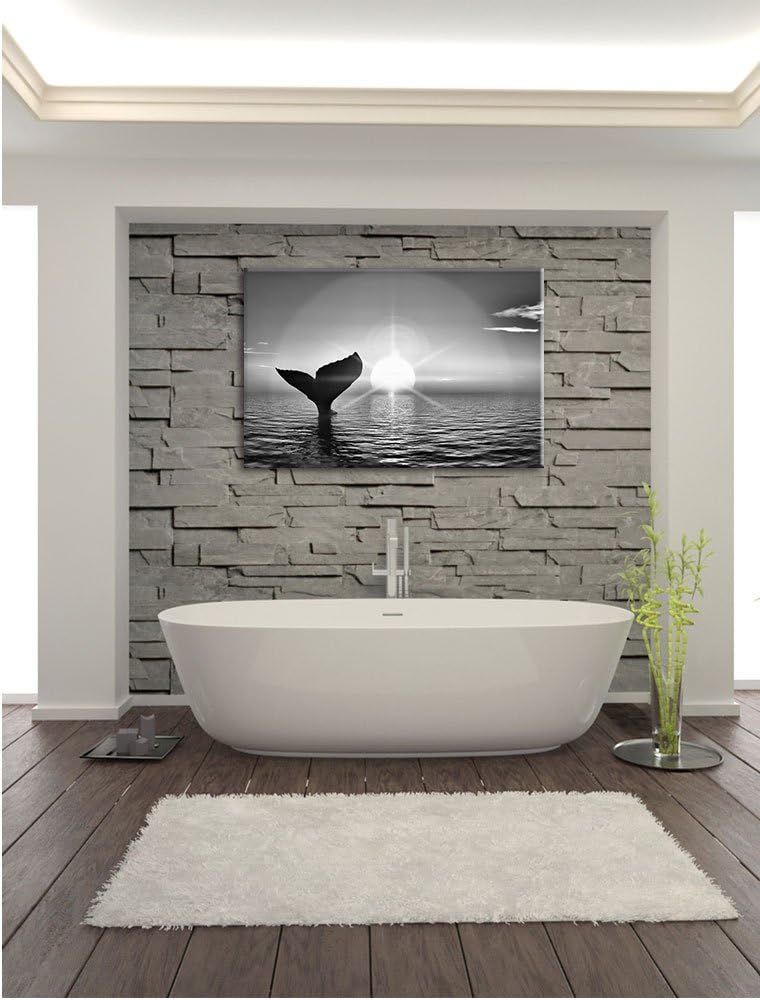 Pixxprint Walflosse im Sonnenuntergang / 100x70cm Leinwandbild bespannt auf Holzrahmen/Wandbild Kuns