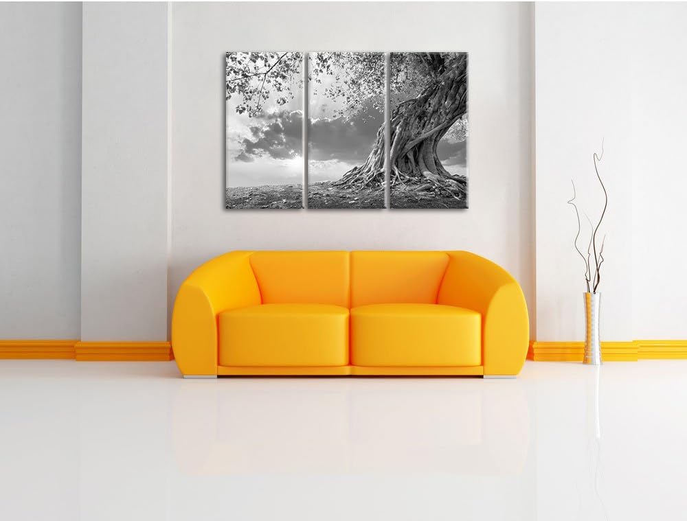 Pixxprint Verwurzelter starker Baum im Sonnenuntergang Kunst B&W 3-Teiler Leinwandbild 120x80 Bild a