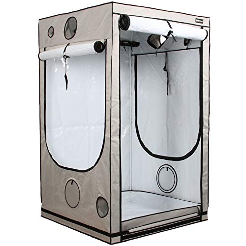 Homebox Ambient Q100+ (Masse: 100x100x220cm)