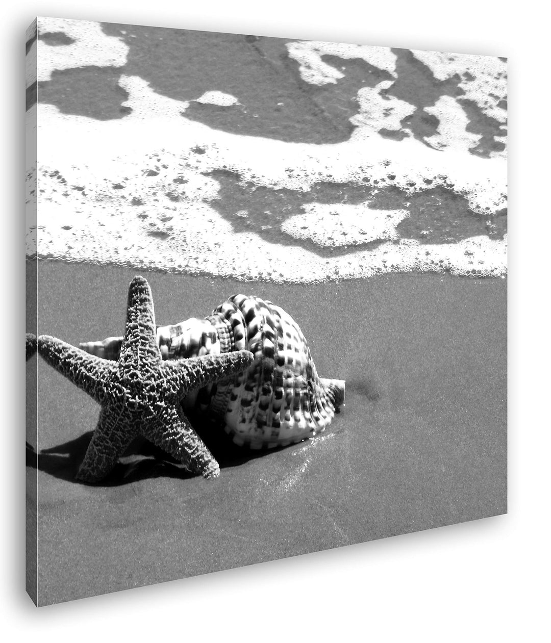 deyoli schöner Seestern am Strand im Format: 60x60 Effekt: Schwarz&Weiss als Leinwandbild, Motiv auf