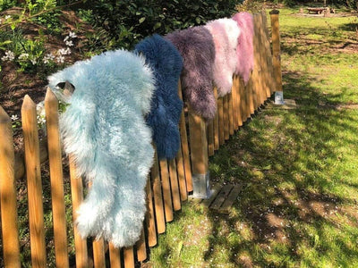 Hollert Lammfell Tibet Sheepskin Monglolisches Schaffell gelockt sehr weich Echtfell Dekoration Läuf