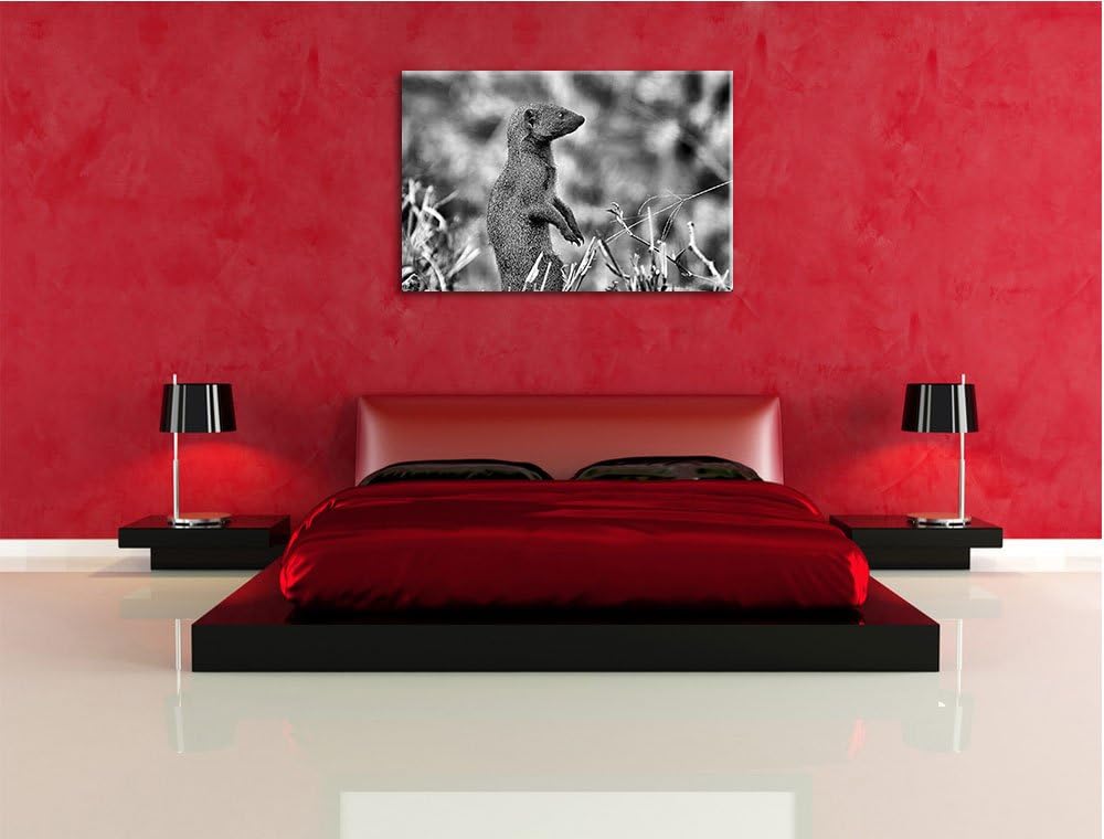 Pixxprint Marder in der Savanne / 100x70cm Leinwandbild bespannt auf Holzrahmen/Wandbild Kunstdruck