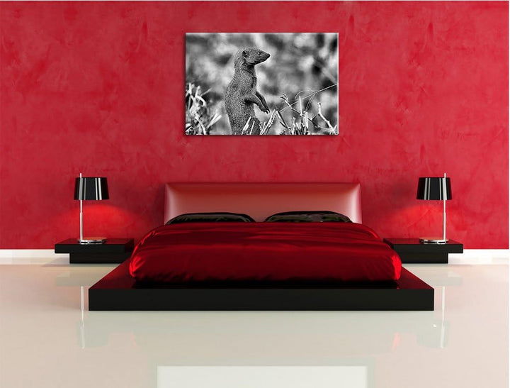 Pixxprint Marder in der Savanne / 100x70cm Leinwandbild bespannt auf Holzrahmen/Wandbild Kunstdruck