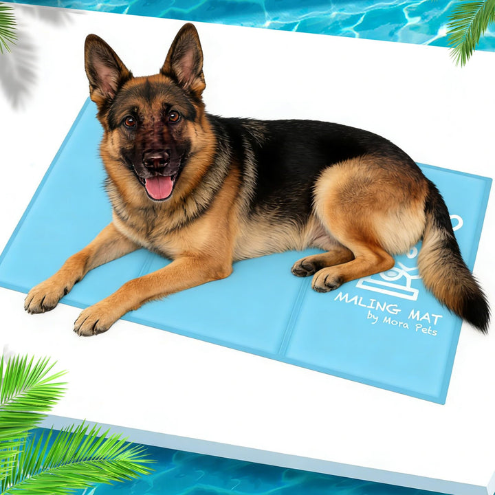 Pawtasy Kühlmatte für Hund, Kühldecke Hunde, Kühlkissen mit Ungiftiges Gel für Klein Mittelgrosse Ha