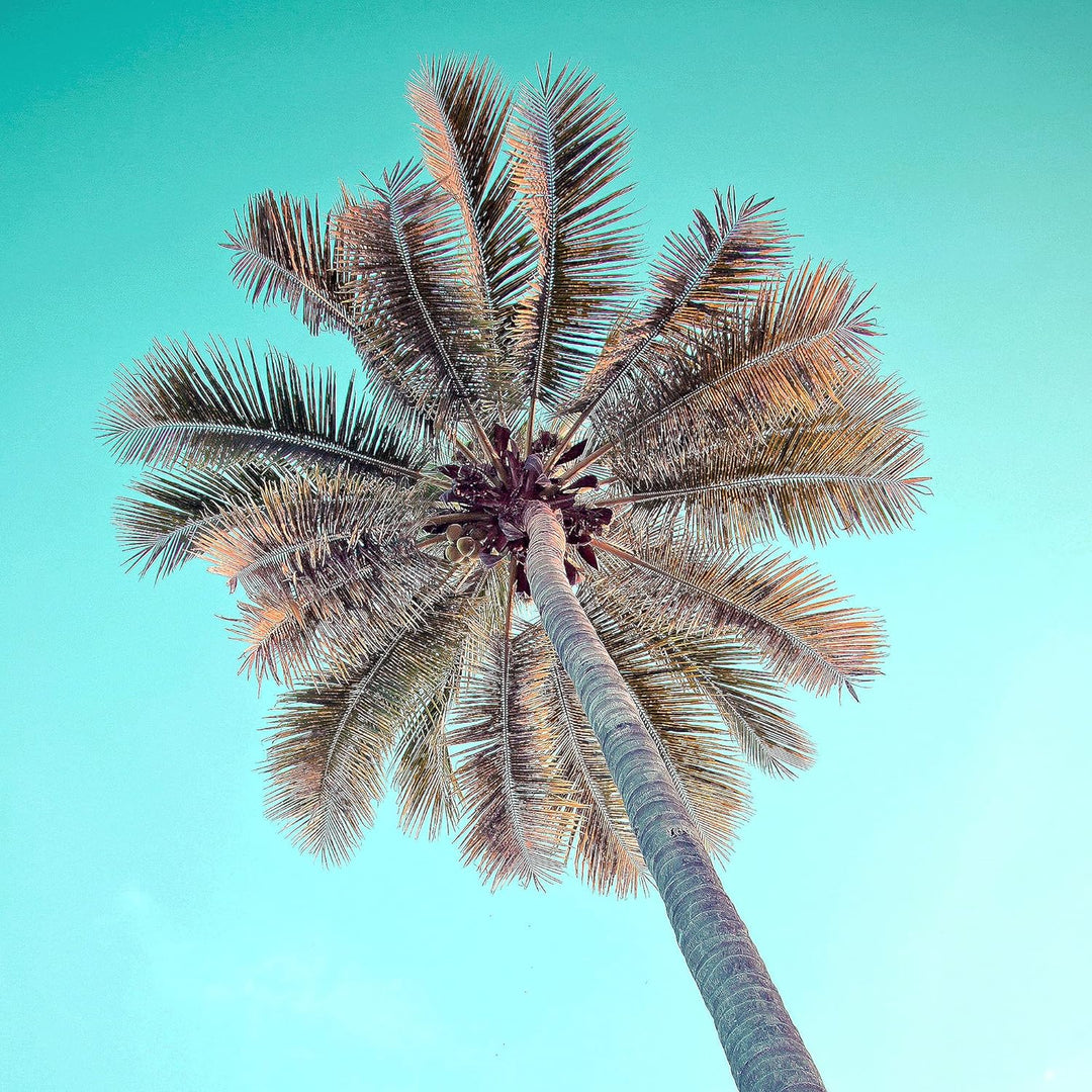 Novart Bilder Set - AUFHÄNGFERTIG - KEIN EXTRA RAHMEN BENÖTIGT - Karibik Modern Traumstrand - Wohnzi