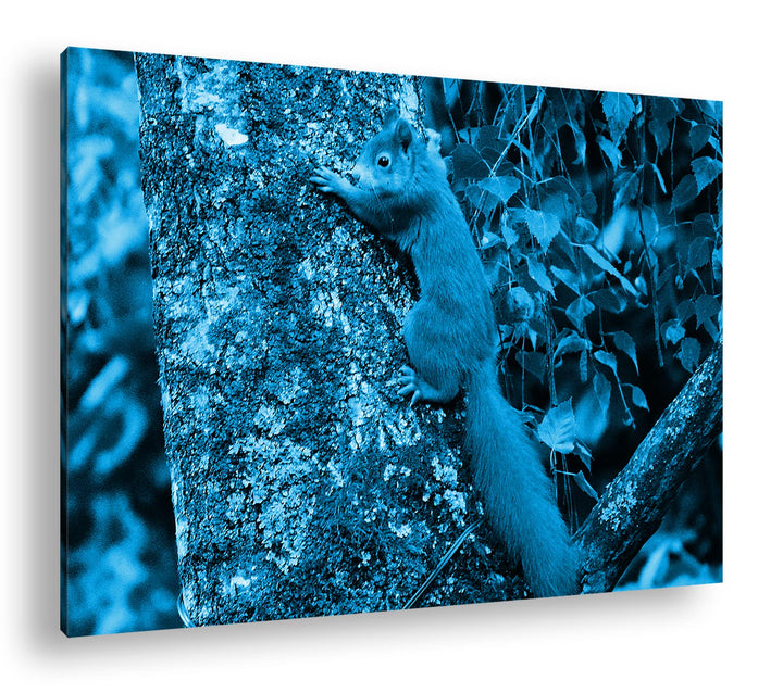 deyoli kleines niedliches Eichhörnchen auf einem Baum Format 100x70 Effekt: Monocrome Blau als Leinw