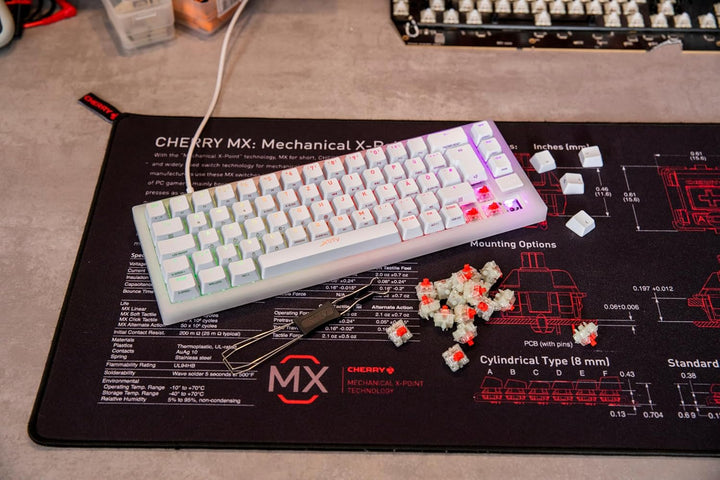 CHERRY MX RGB RED Switch Kit, 23 Mechanische Tastatur-Schalter, für DIY, Hot Swap oder Gaming-Keyboa