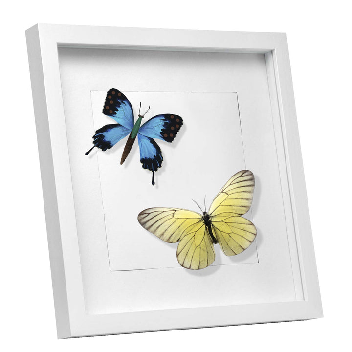 EUGAD 3D Bilderrahmen zum Befüllen, Bilderrahmen 30x30 cm, Objektrahmen, Tiefer Rahmen für Objekte b