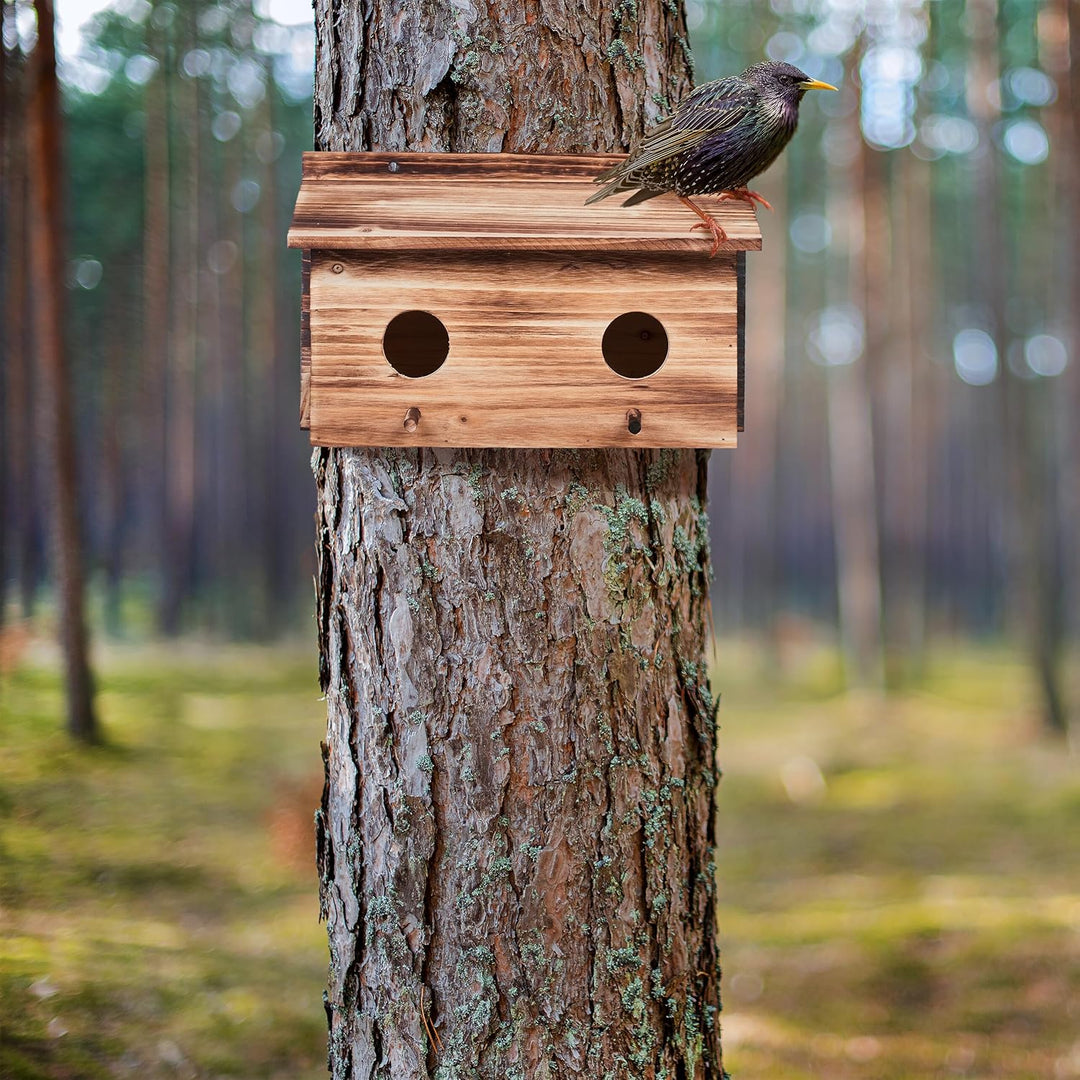 Relaxdays Nistkasten für Stare, natürliches Tannenholz, 2X Einflugloch 5 cm, Sitzstange, Vogelhaus z