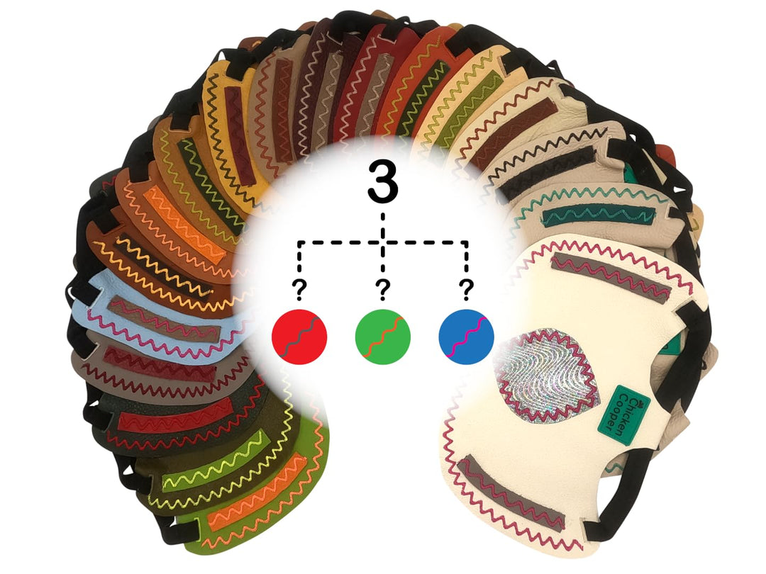 Hühnersattel, Hühnerweste, Federschutz, Geflügel Rückenschutz, Echtleder Handgemacht (3, Buntfarben