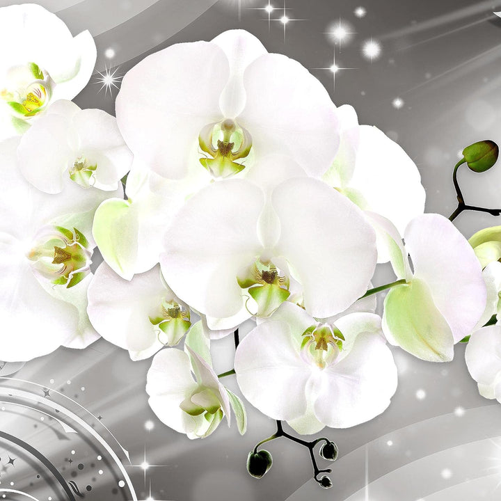 Runa Art Wandbilder Blumen Orchidee 5 Teilig Bild auf Vlies Leinwand Deko Wohnzimmer Abstrakt Grau 0