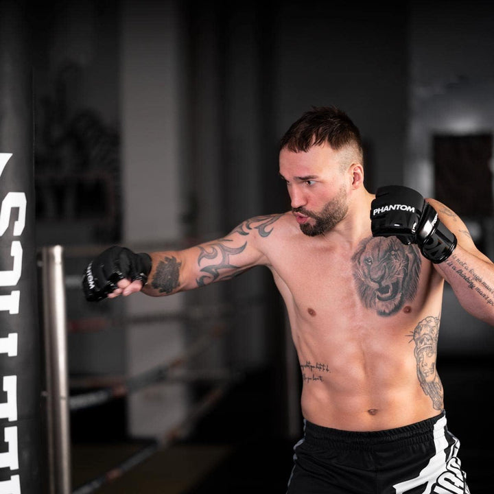 Phantom MMA Handschuhe APEX | Profi Gloves für Fight, Sparring, Boxen, Freefight Apex Hybrid - Schwa