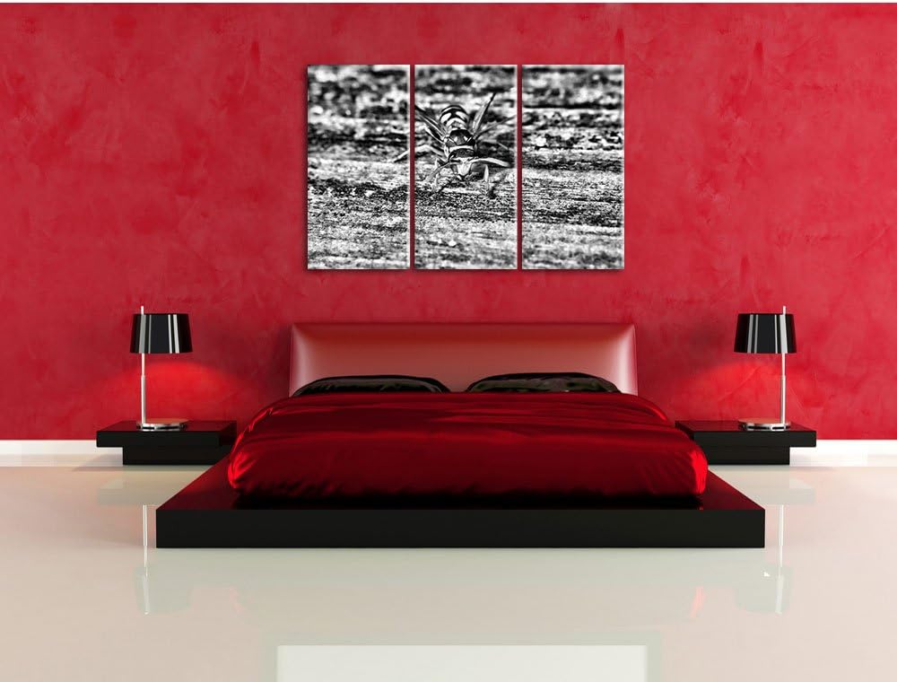 Pixxprint kleine Biene auf Holz als Leinwandbild/Grösse: 3 Teilig (120x80) cm/Wandbild/Kunstdruck/fe