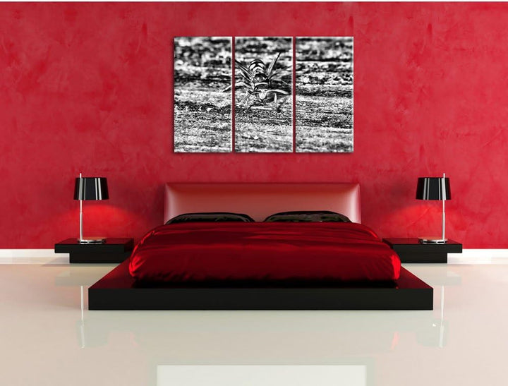 Pixxprint kleine Biene auf Holz als Leinwandbild/Grösse: 3 Teilig (120x80) cm/Wandbild/Kunstdruck/fe