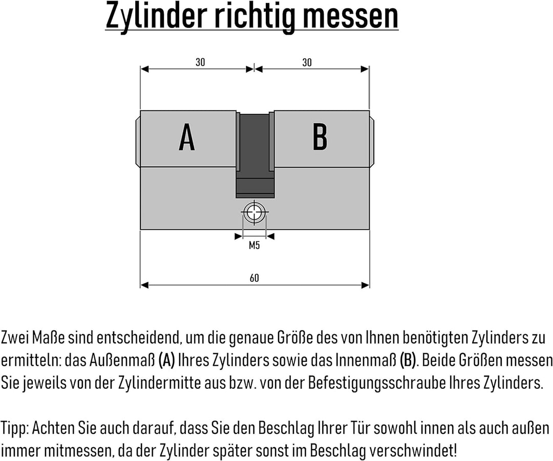 Löwen Sicherheitsschloss 3x Gleichlauf-Zylinderschlösser 60 mm PZ 30 x 30 mit 10 Schlüsseln