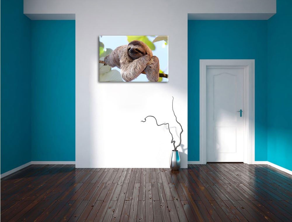 Pixxprint schönes Faultier hängt von AST als Leinwandbild/Grösse: 100x70 cm/Wandbild/Kunstdruck/fert