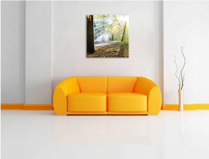 Sonnenstrahlen im Wald, Format: 70x70 auf Leinwand, XXL riesige Bilder fertig gerahmt mit Keilrahmen