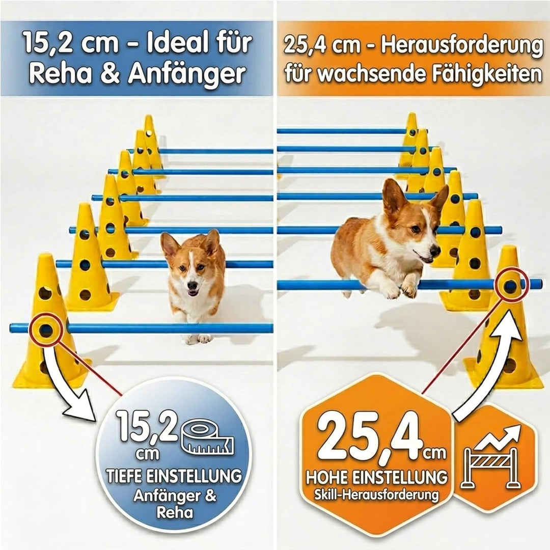 Agility Set Hunde mit 6 Hürden, Cavaletti Hund Trainingsset, 12 Verstellbare Stangen & 12 Pylonen, H