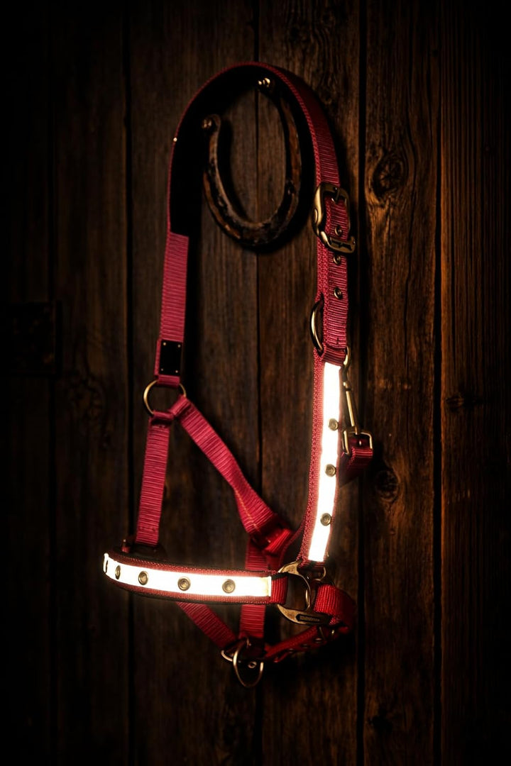 Reinecke Equestrian Premium Leuchthalfter Reflexhalfter Sicherheitshalfter Stallhalfter Weidehalfter