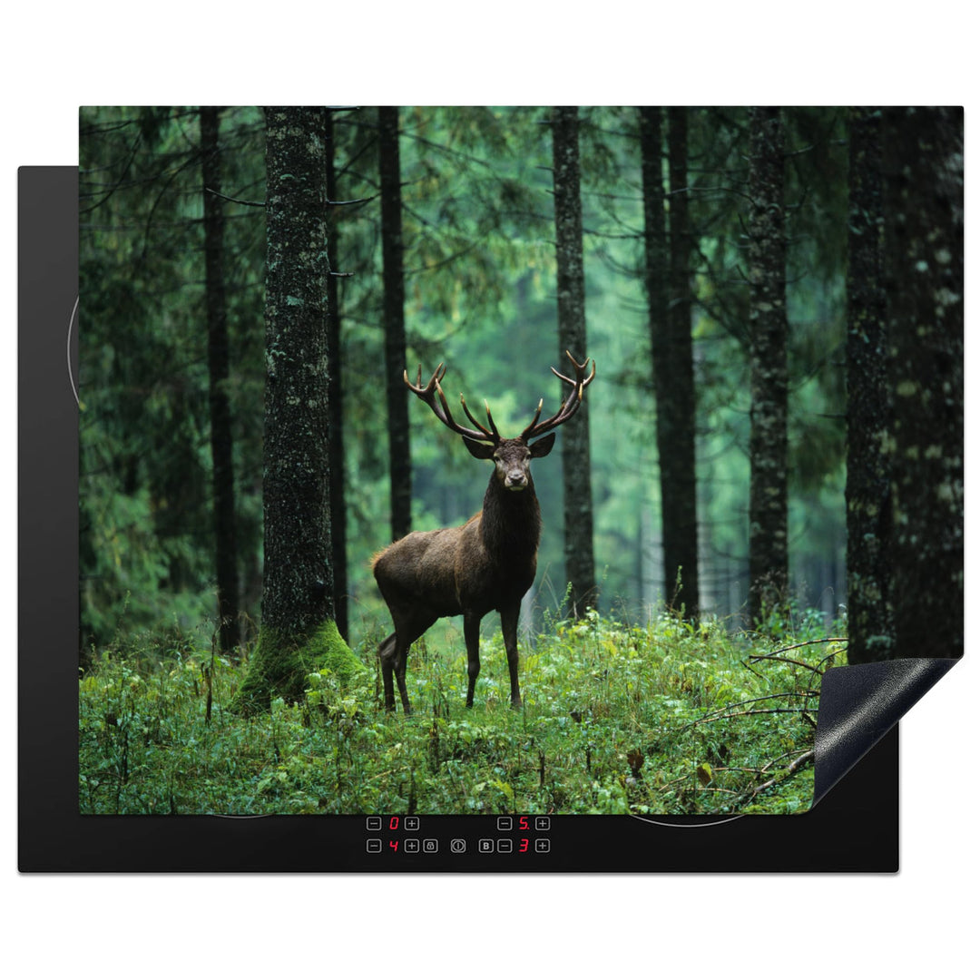 MuchoWow Herdabdeckplatte Ceranfeld Spritzschutz Küche Hirsche - Wald - Bäume - Tiere - Natur 65x52