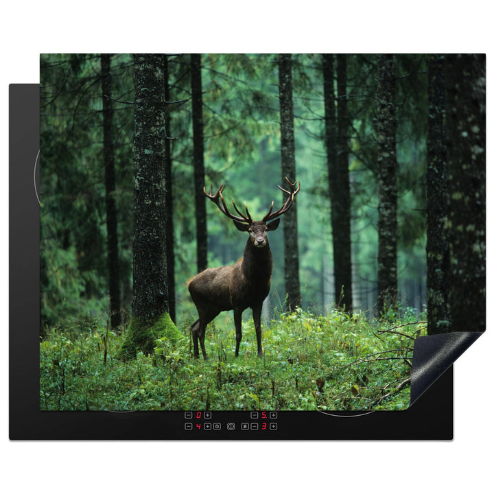 MuchoWow Herdabdeckplatte Ceranfeld Spritzschutz Küche Hirsche - Wald - Bäume - Tiere - Natur 65x52