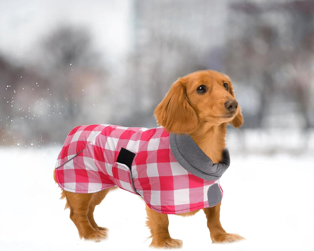 MOREZI Hundejacke ist eine wasserdichte, mit Fleece gefütterte Hundewinterjacke mit verstellbarem Gü