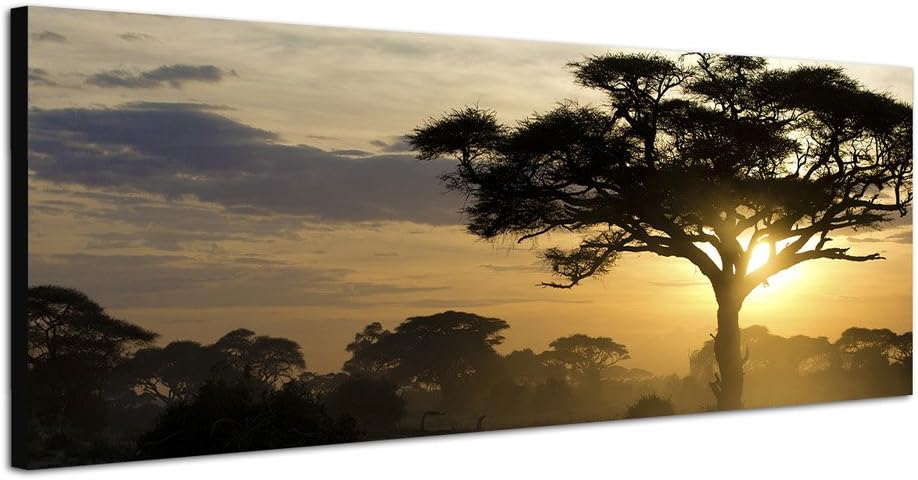 Paul Sinus Art Panoramabild auf Leinwand und Keilrahmen 120x40cm Afrika Landschaft Bäume Sonnenunter